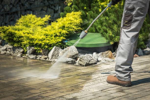 Best Sidewalk and Walkway Cleaning  in Lam, AR